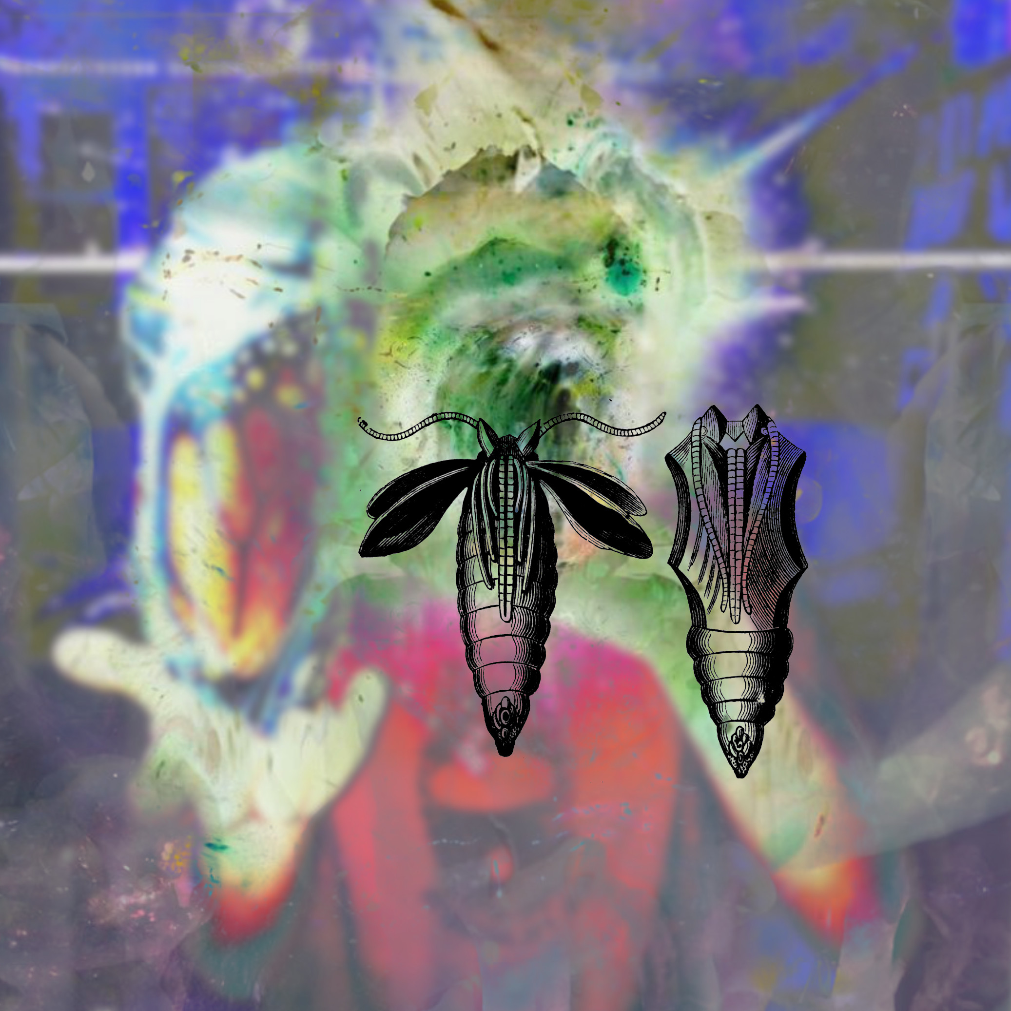 Chrysalis (an egg in your hand)